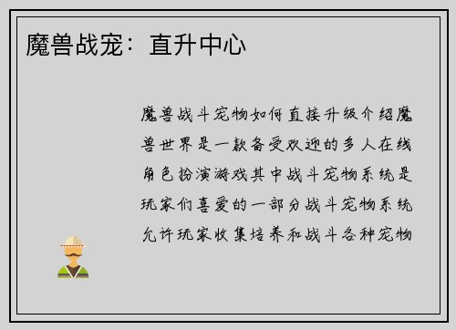 魔兽战宠：直升中心